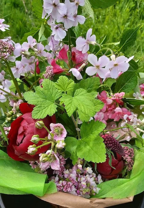 spring red.jpg