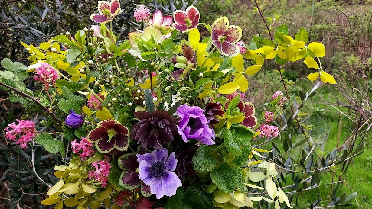 spring hello.jpg