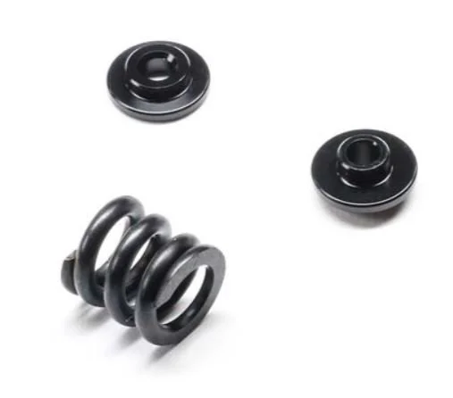Team Losi Racing Slipper Spring Set: 22X