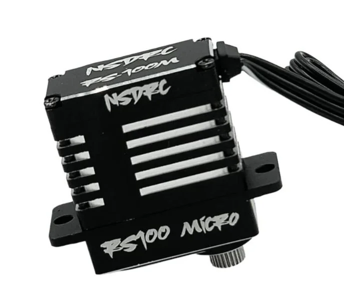 RS100 High Torque Micro Servo