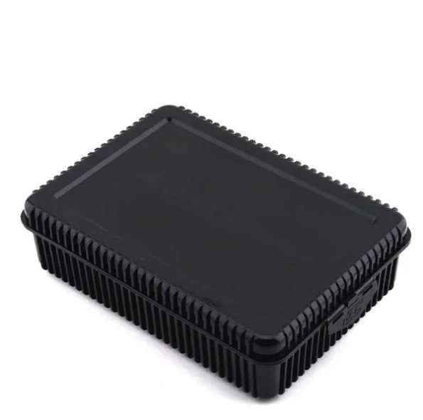 6156.JPG