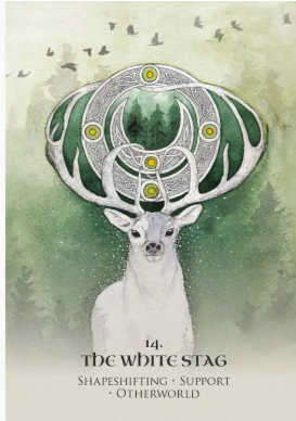 Screenshot 2025-11-05 192800.png