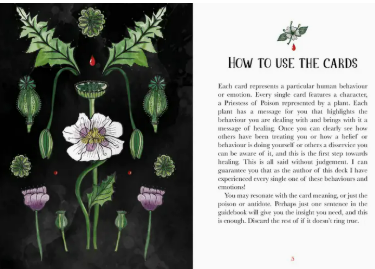 Screenshot 2025-11-05 193116.png