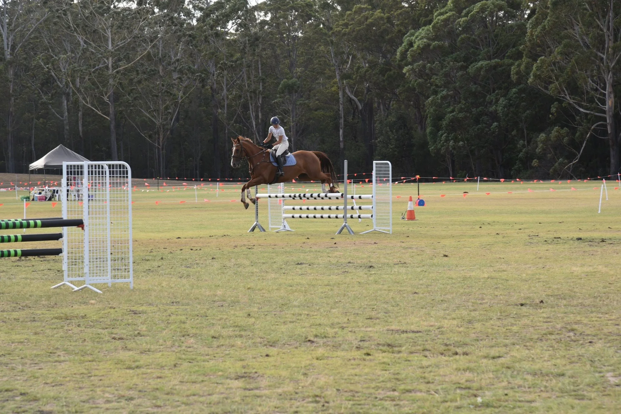 Jump 21.jpg