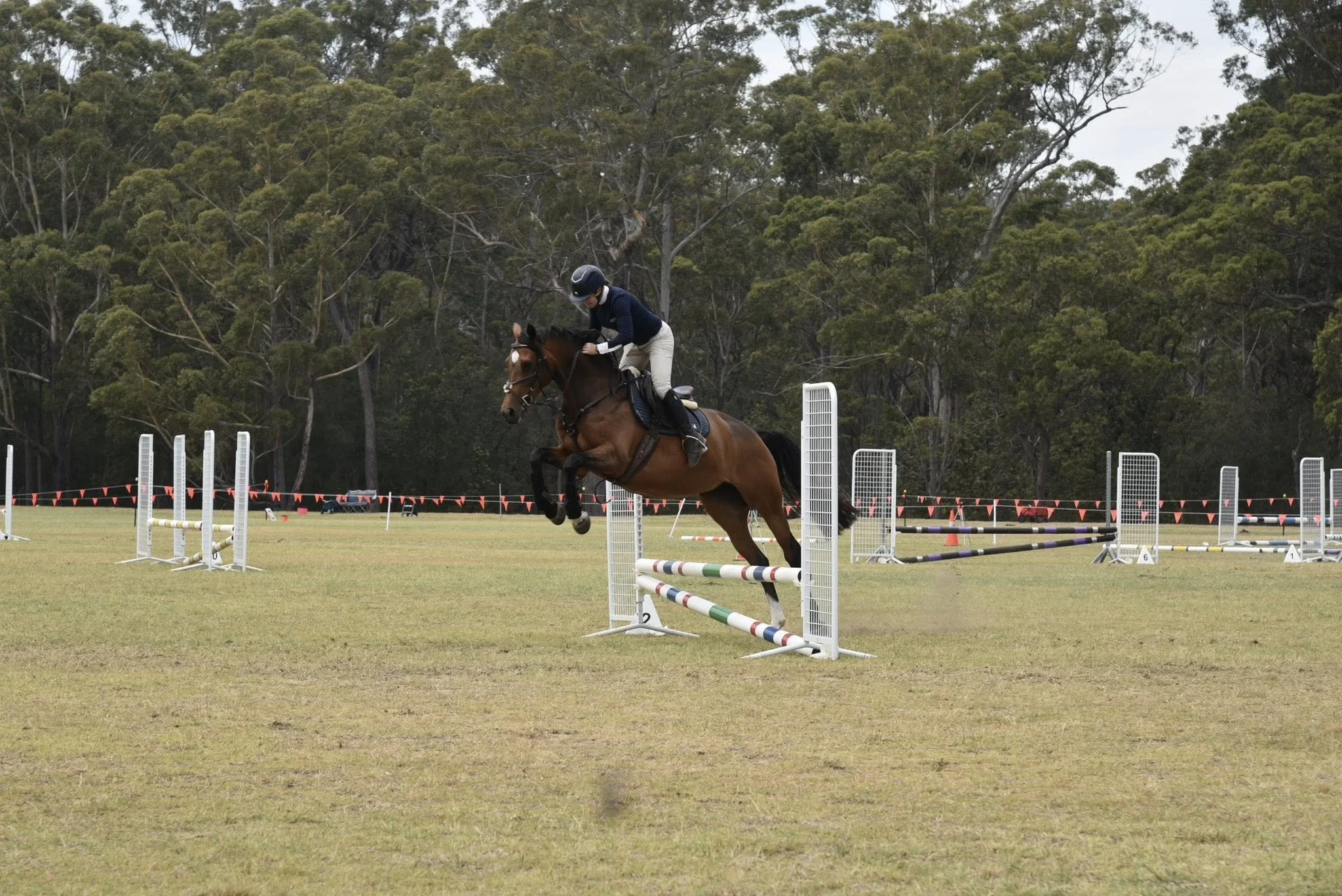 Jump 18.jpg