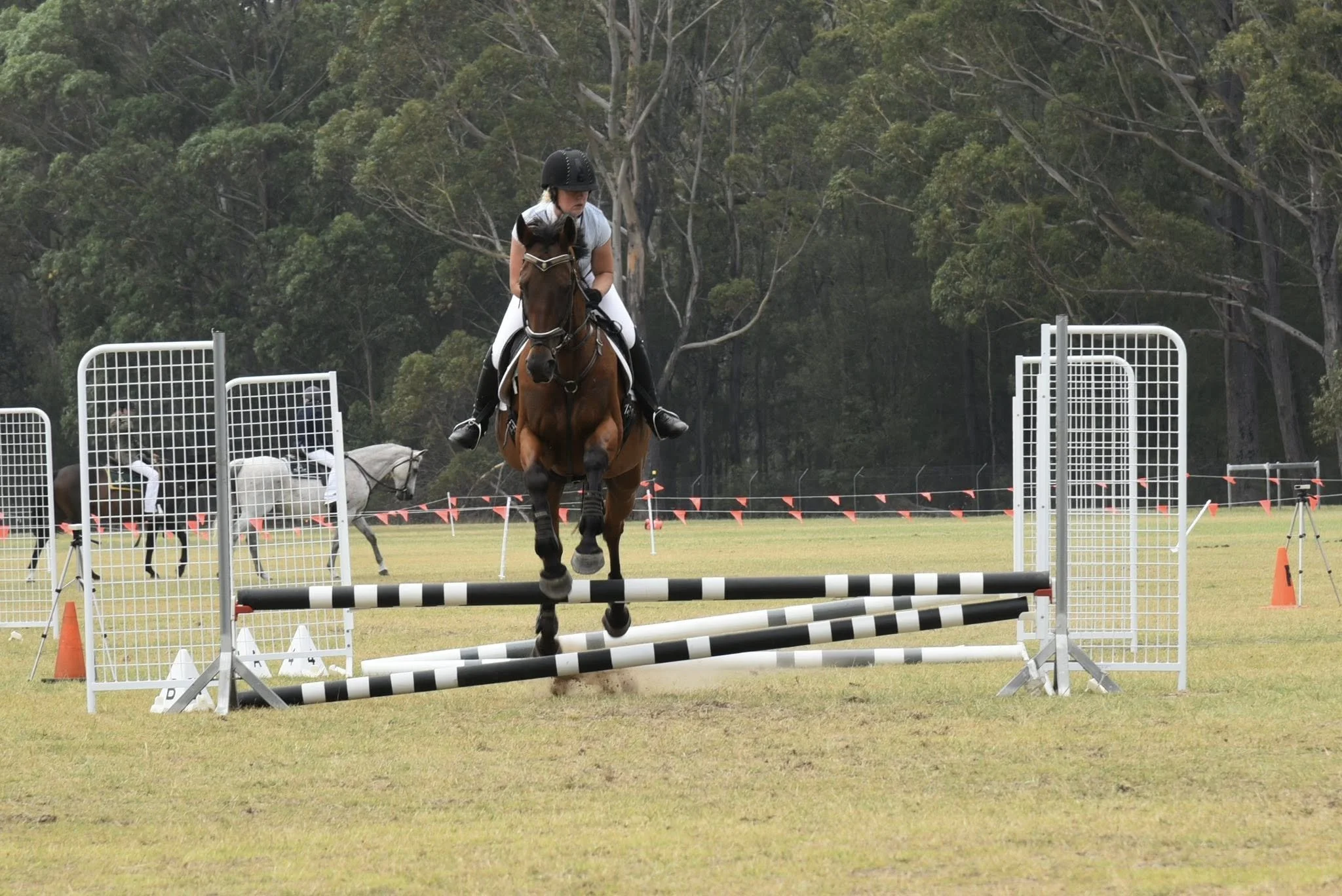 Jump 19.jpg