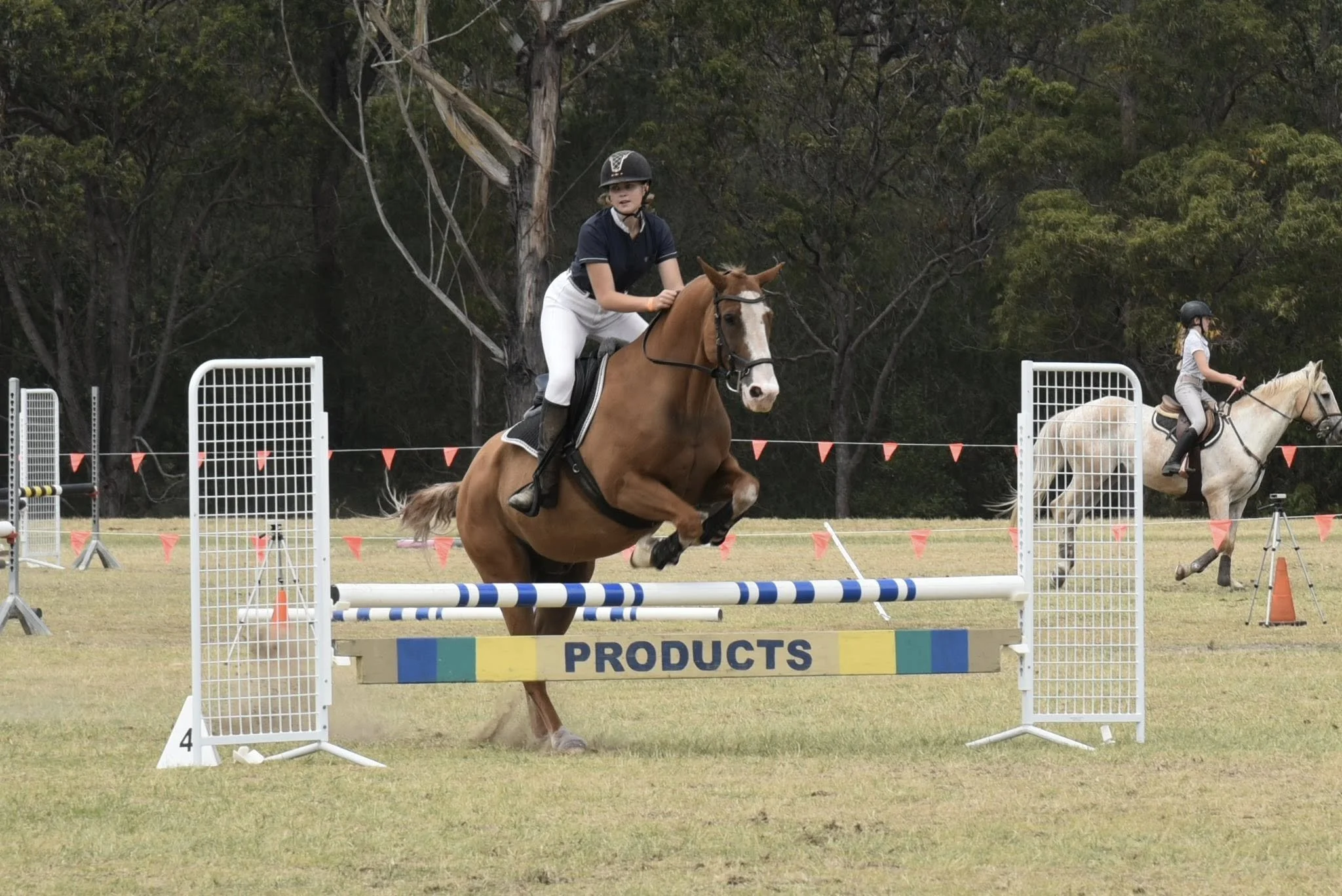 Jump 4.jpg