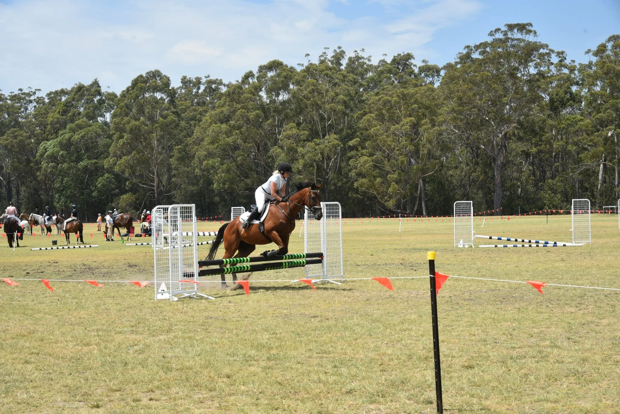 Jump 14.jpg