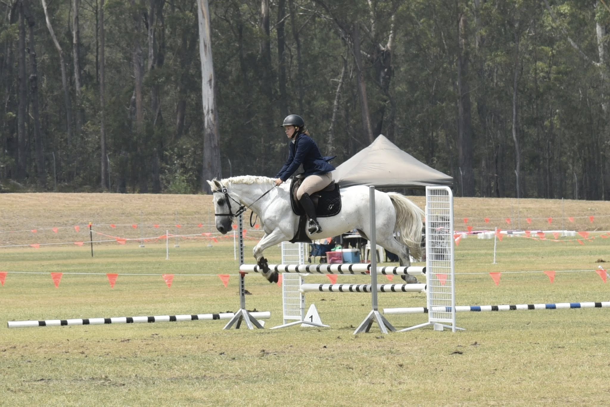 Jump 11.jpg