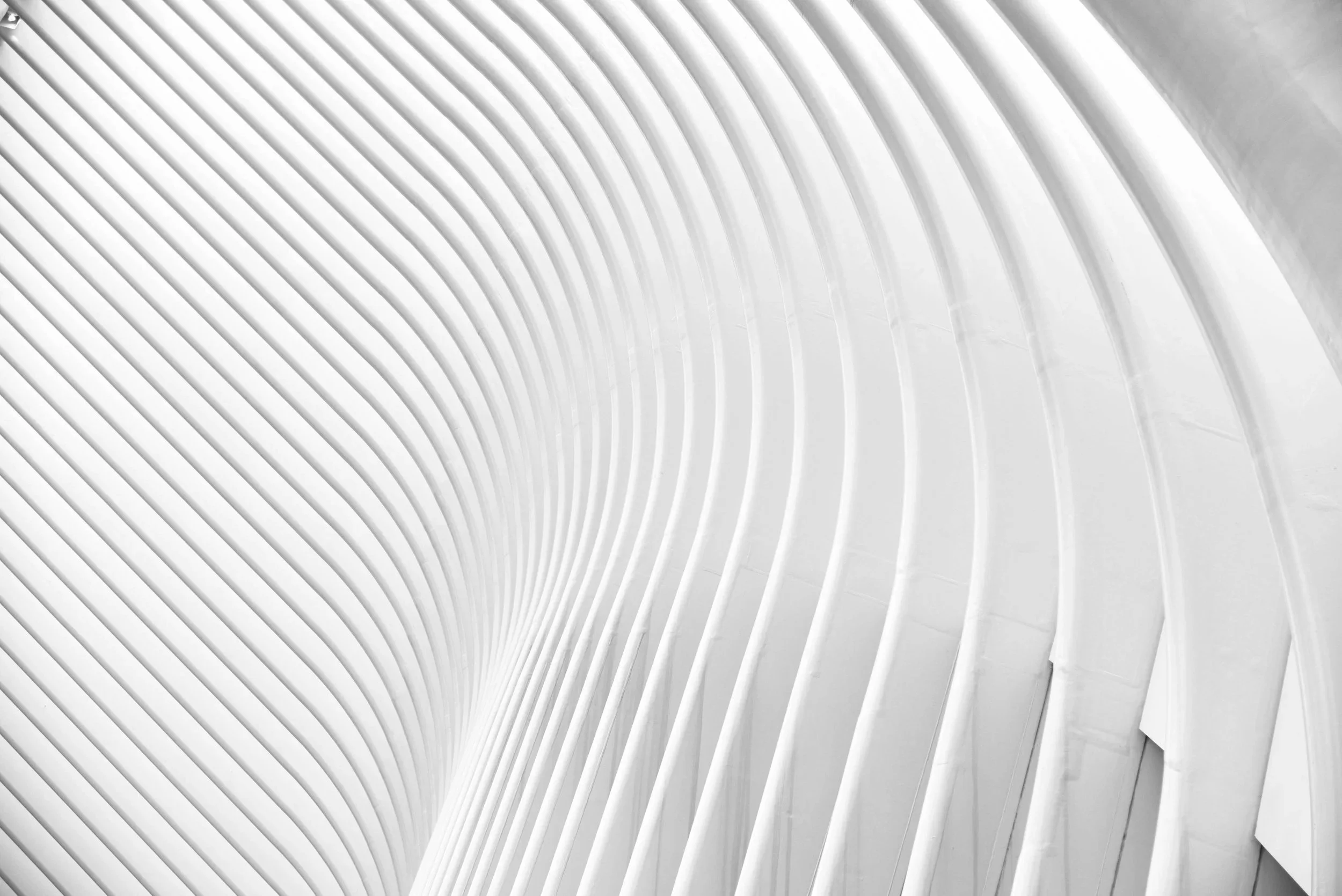 Curved white architectural interior with evenly spaced vertical lines.