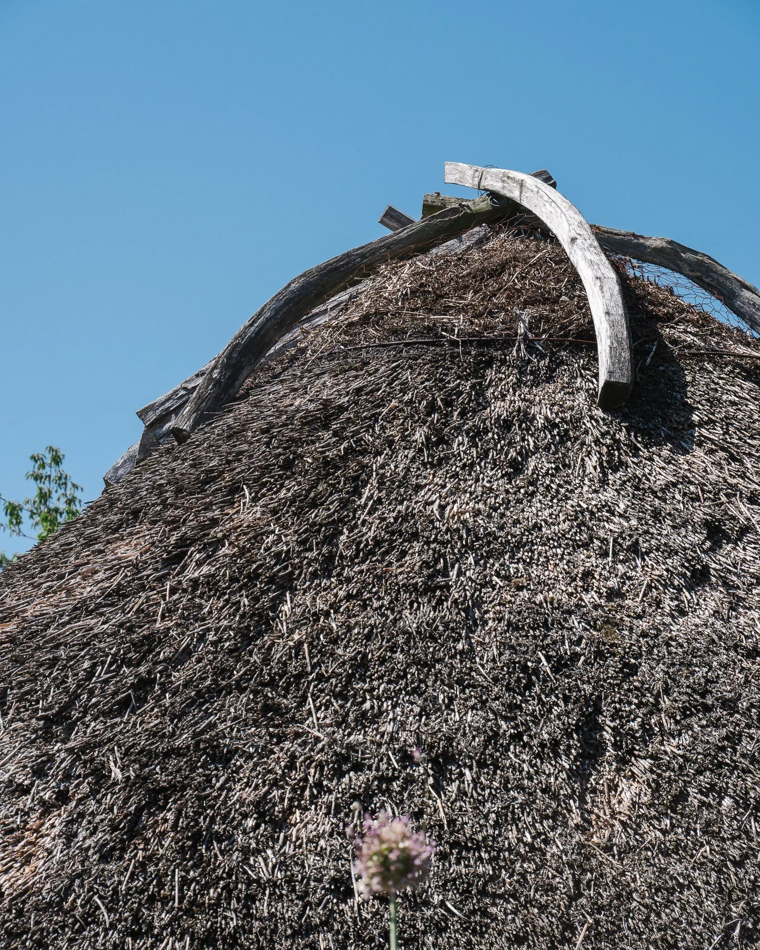 Different times call for different construction methods. In the Irish National Botanic Gardens, a replica Viking-age house demonstrates this beautifully. Thatched with river reed, its roof forms the building&rsquo;s dominant mass, providing insulatio