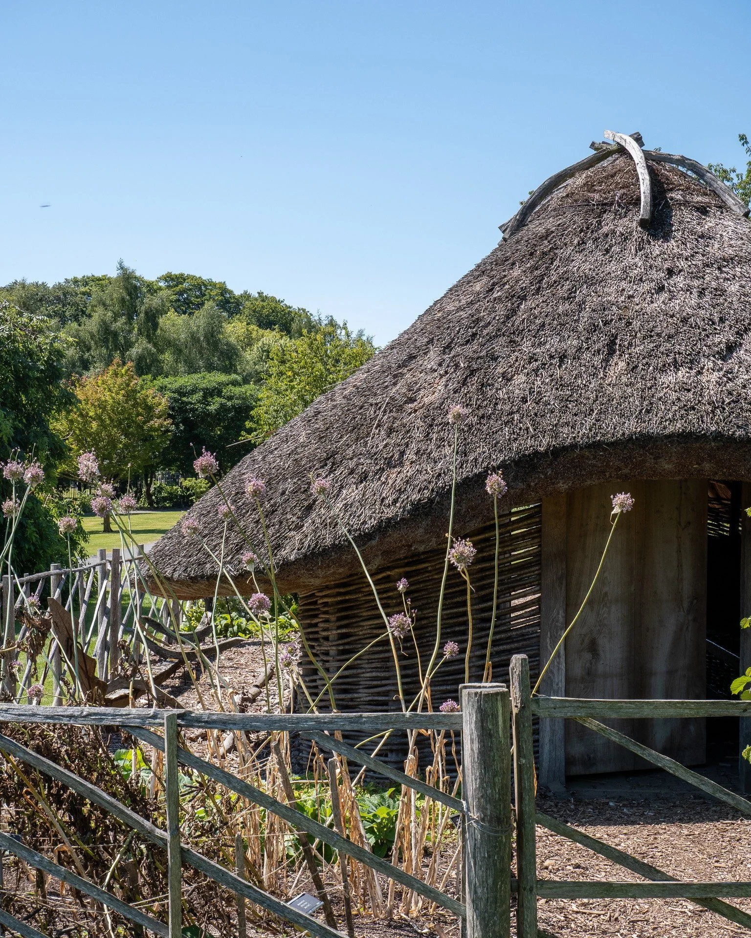 This replica Hiberno-Norse house, based on an 11th-century example excavated in Dublin, demonstrates the merging of Viking and Irish architectural traditions. Homes of this style were once found across both urban and rural Ireland during the Viking a
