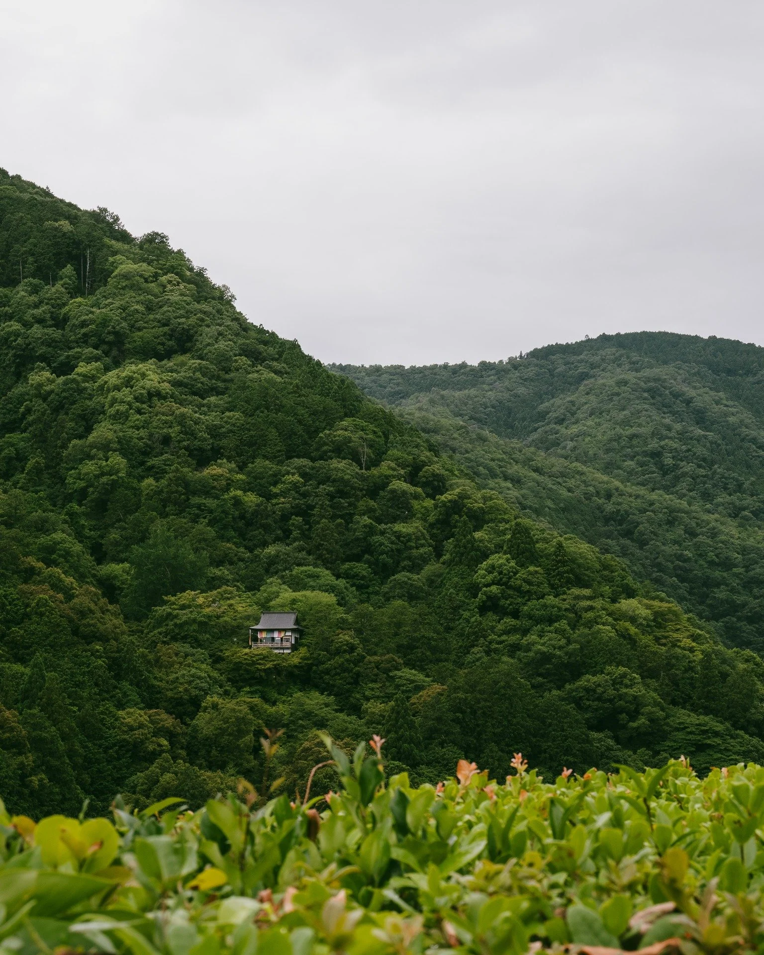 At the high point of the meandering garden path, a vantage opens across the Hozu River Gorge towards Mt Hiei, Mt Arashi and Mt Ogura. Perched on the opposite slope is a small temple &mdash; Senkaku Senkoji. In the other direction, Kyoto.