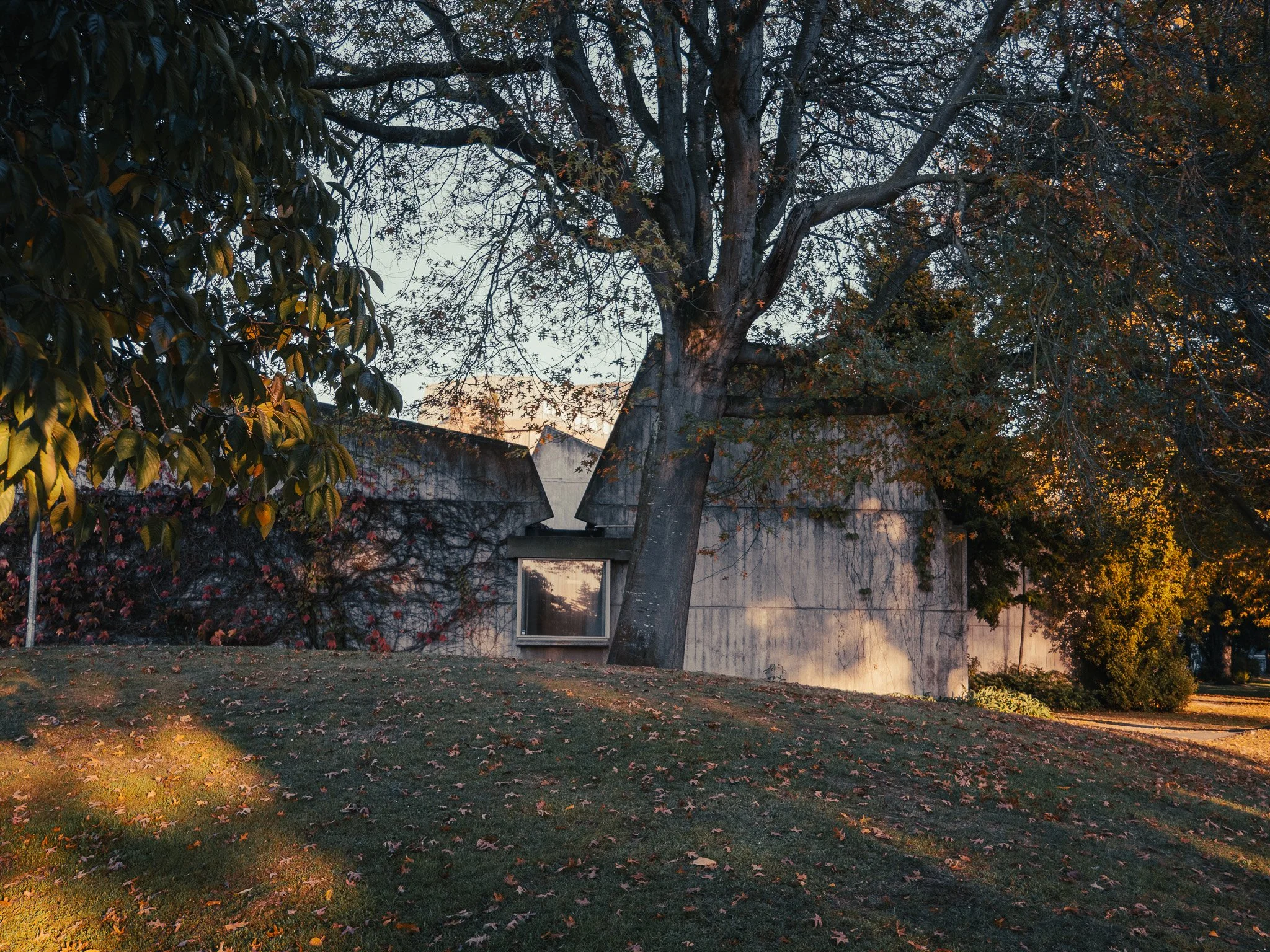 The School of Fine Arts at the University of Canterbury, touched by early-morning light.