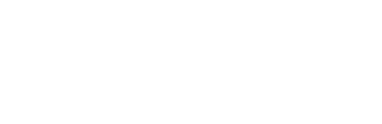 CASTLE DEPUTY INSPECTIONS