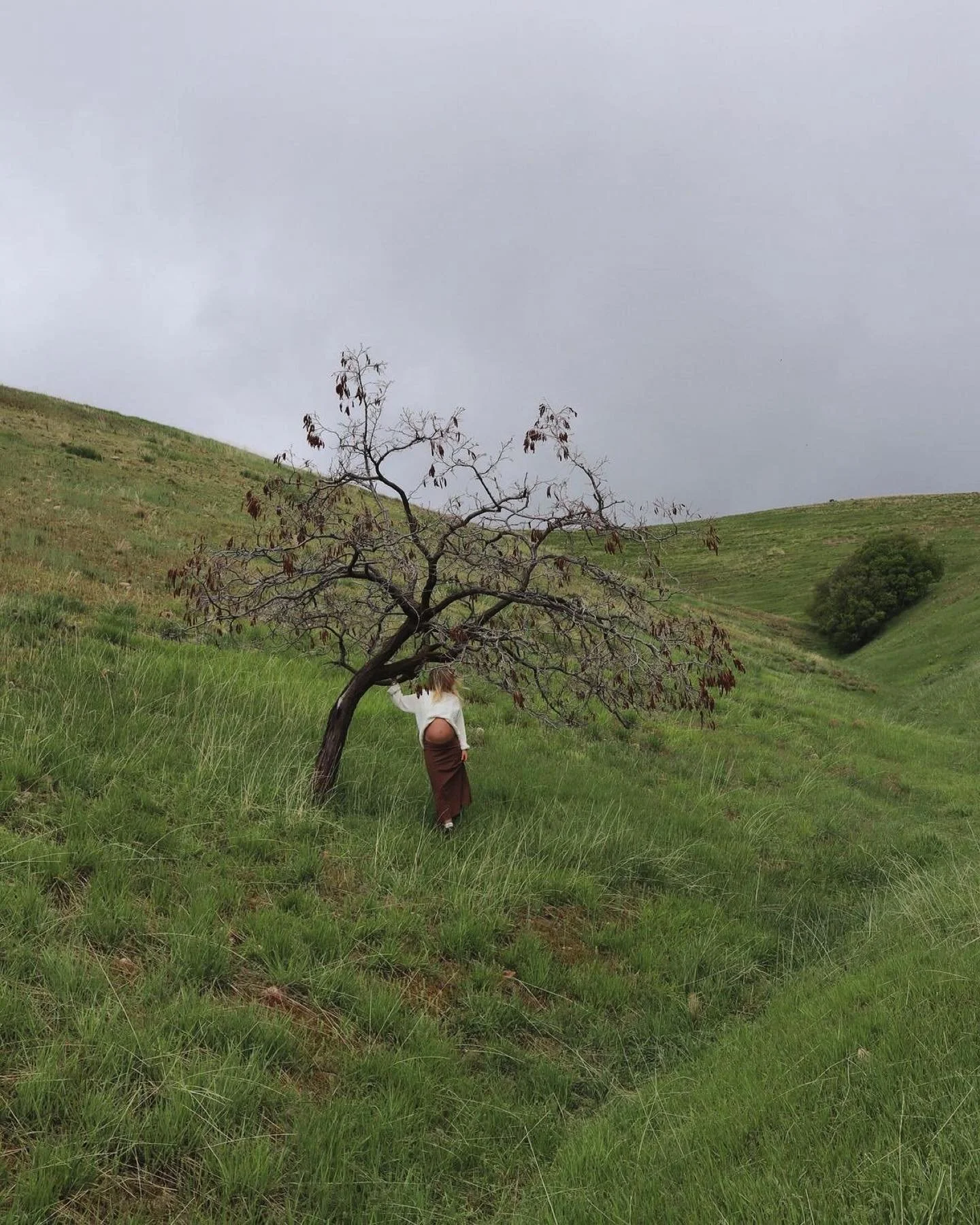 Just like a tree needs strong roots before it can rise and bloom, we too need to feel grounded and supported before we can bloom into motherhood. This week my prenatal yoga classes are all about rooting and grounding down, building that foundation fo