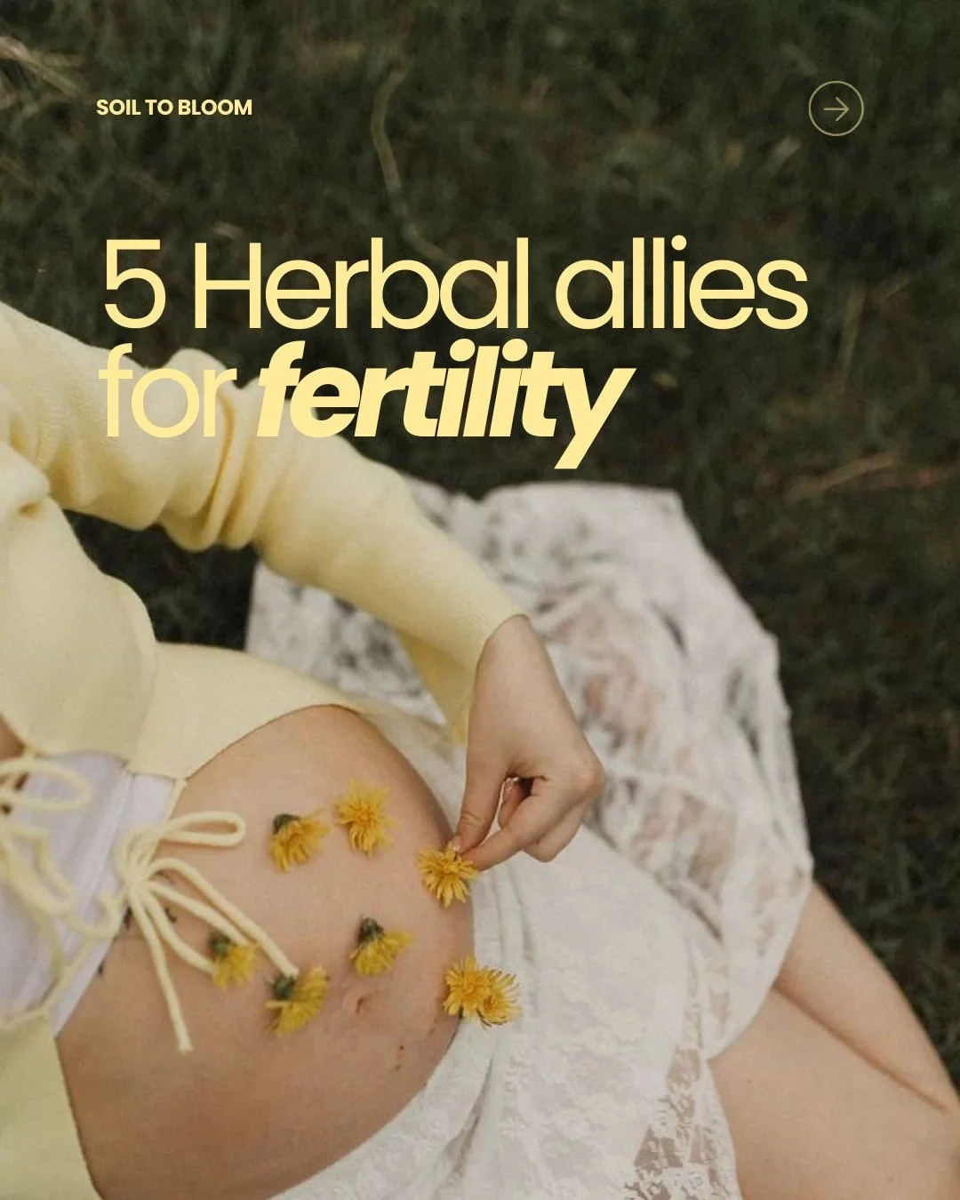 I often get the question: what herbs can help me with getting pregnant? And whilst conception and fertility are such complex topics and things we cannot &lsquo;manage&rsquo; or &lsquo;control&rsquo;, there are herbs that can help nourish the body and