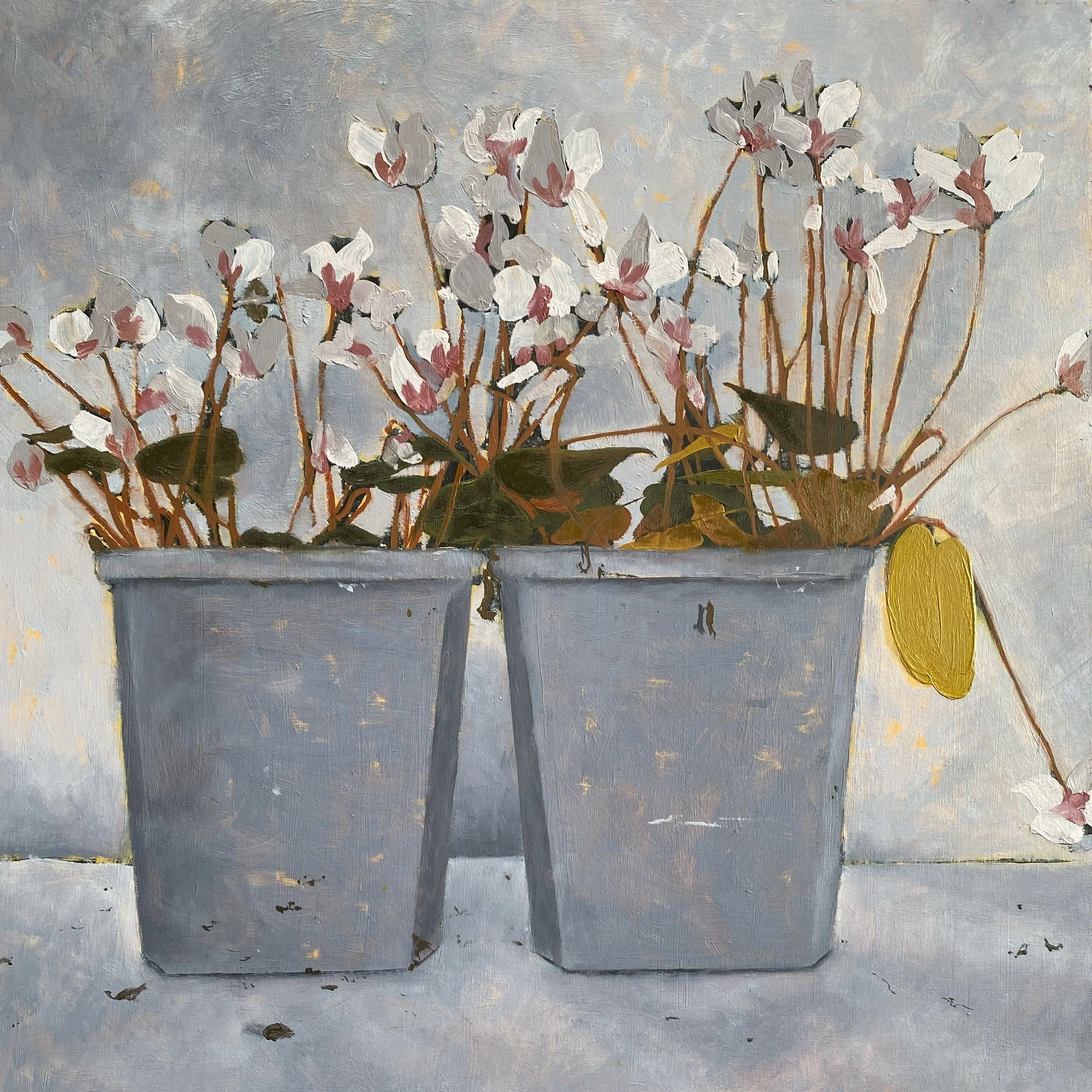 2026 Two Pots (Cyclamen).jpg