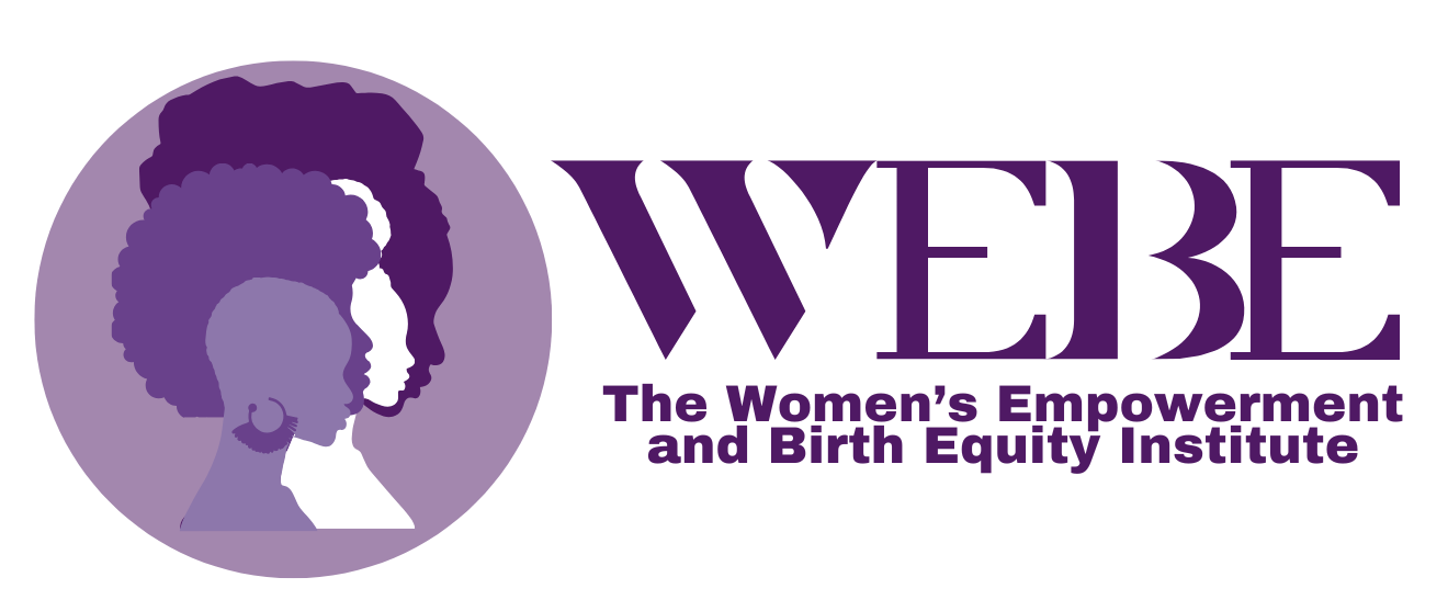 The Women&#39;s Empowerment and Birth Equity Institute