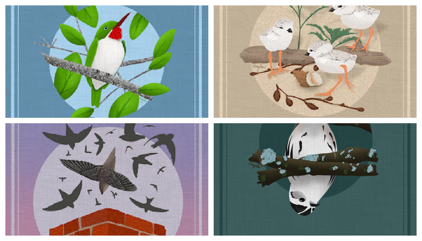 2026 Bird Art Challenge with Cornell