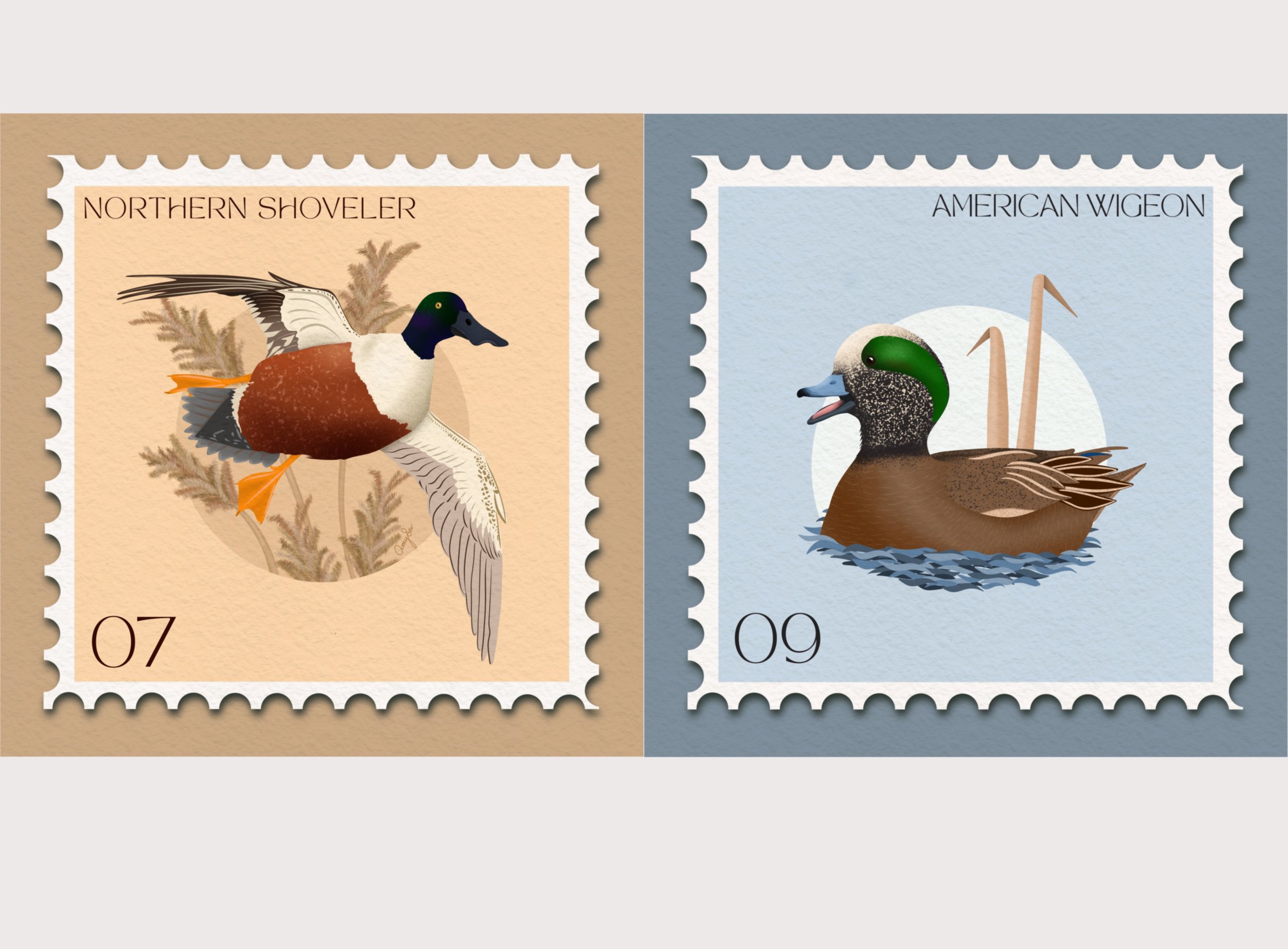 New Feathered Friends…