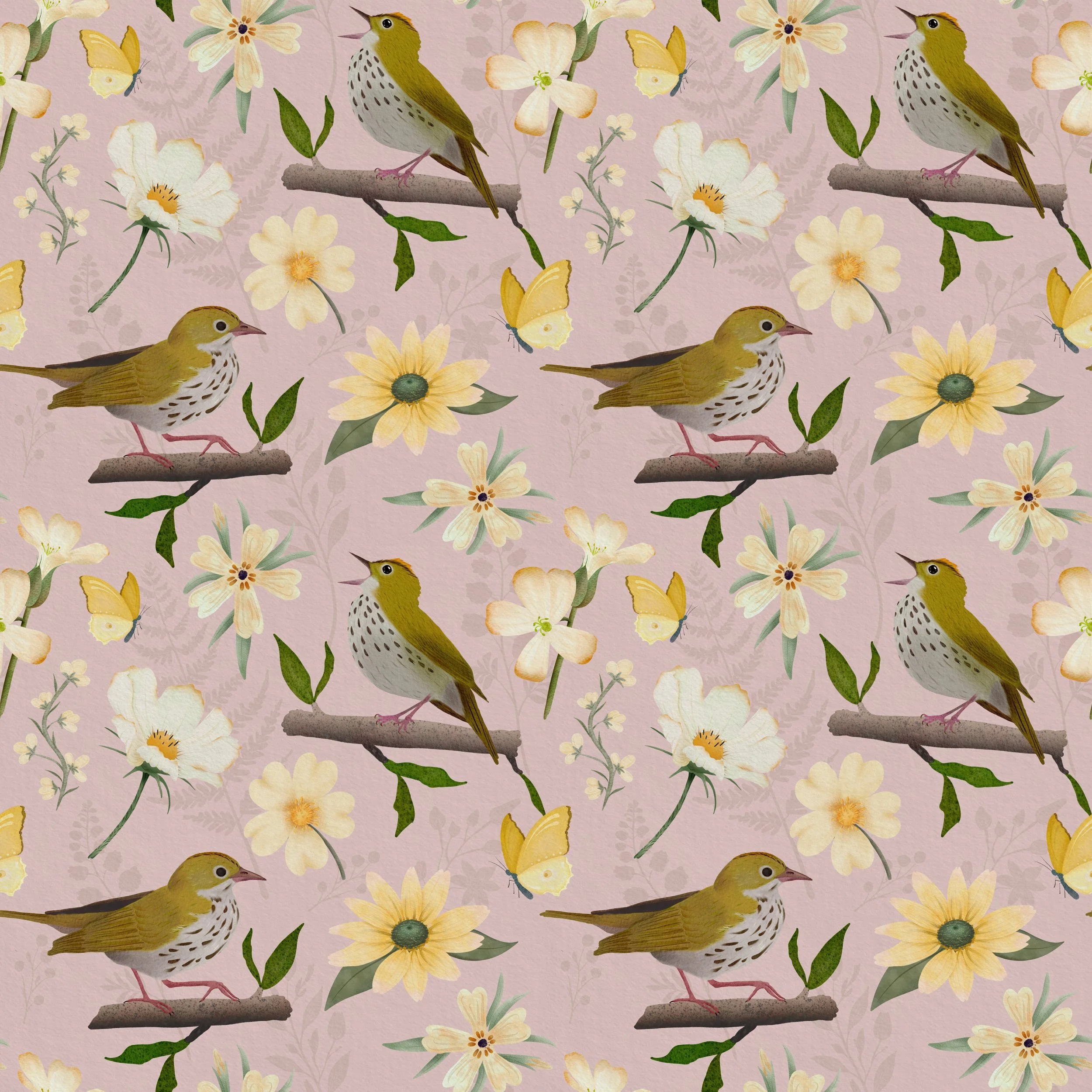 Ovenbird copy jpg 50.jpg