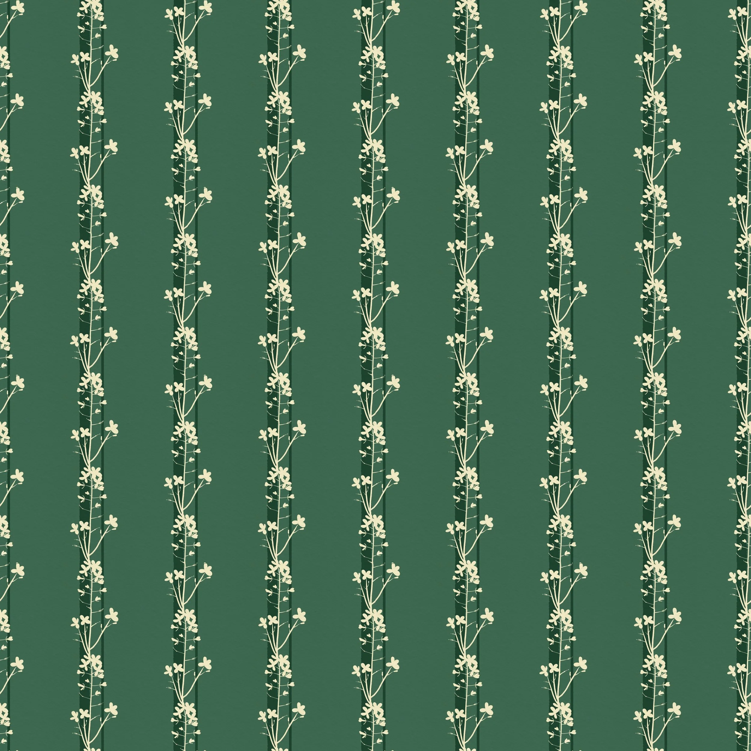 cabbage flower stripe green.jpg