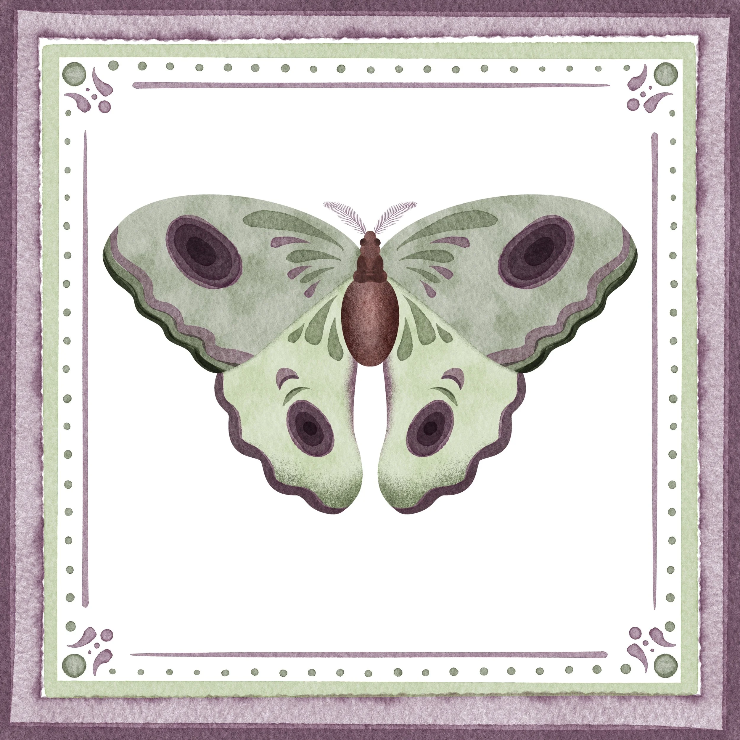 January_Green_Purple_Butterfly_W_Frame.jpg