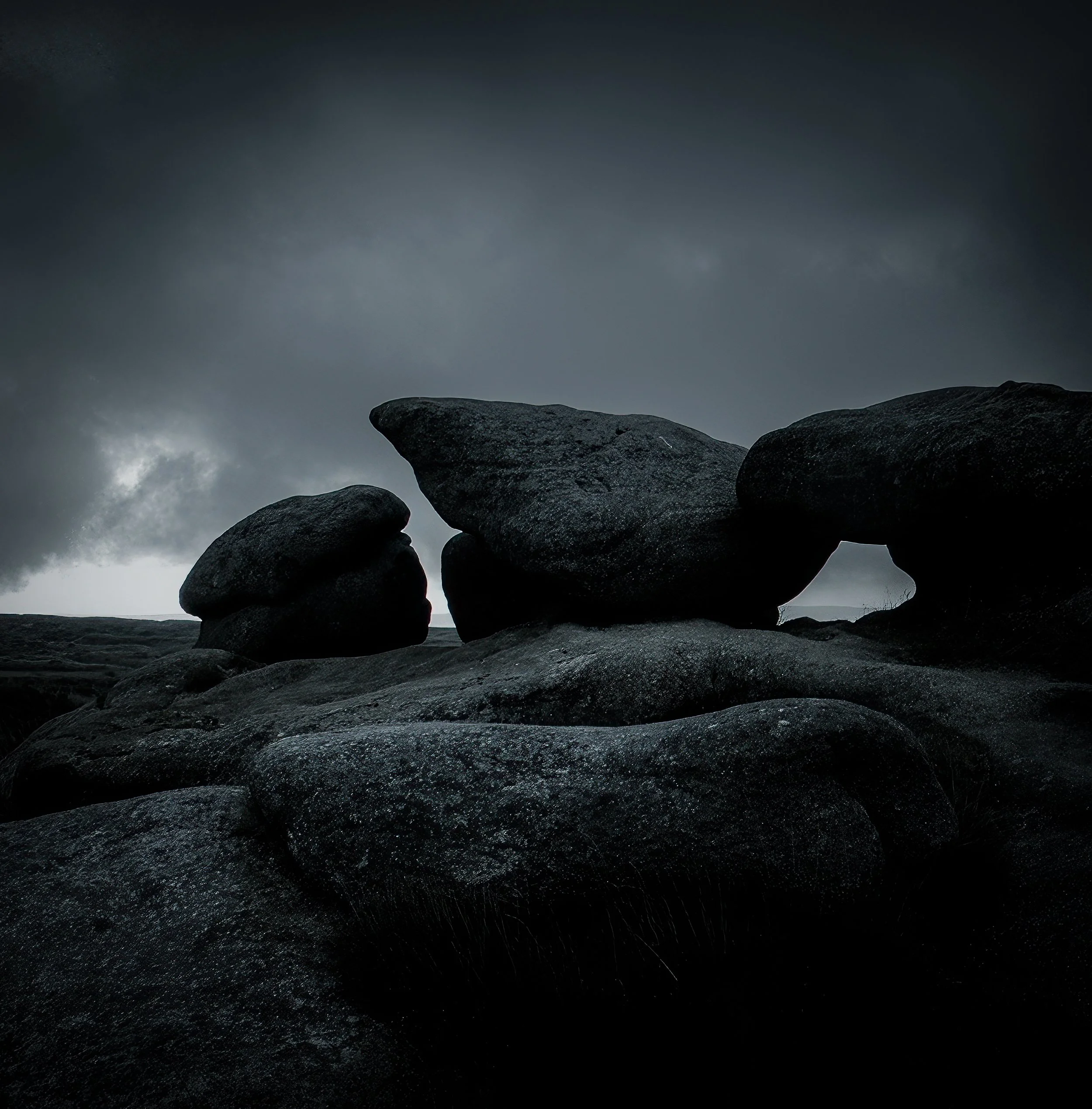 SON05282-Edit-Edit.jpg