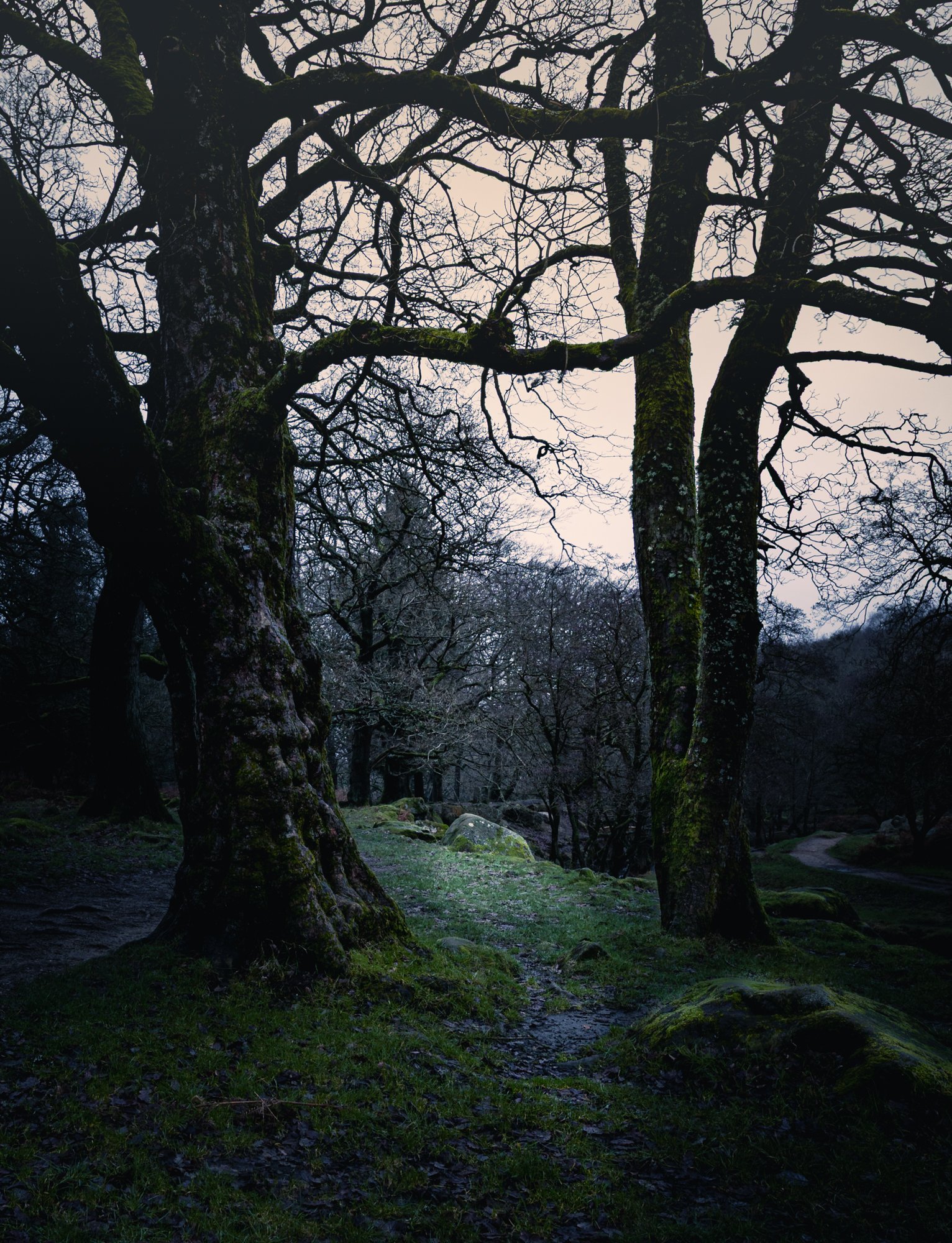 mads edits 2025 (1).jpg