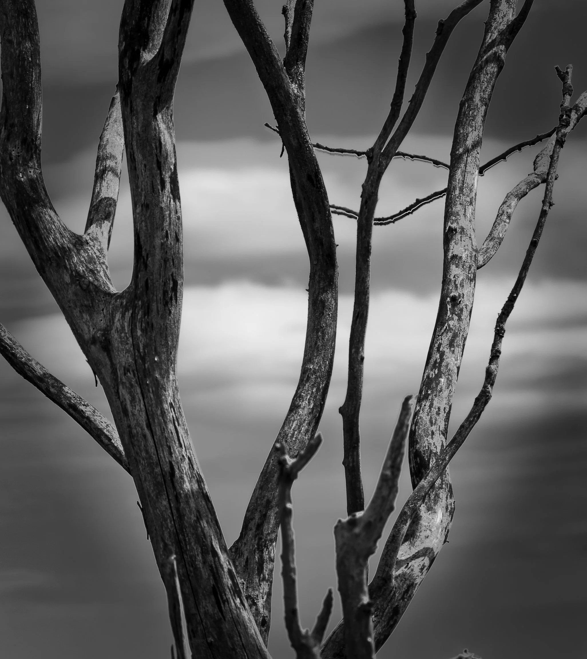 HE3A0830-HDR.jpg