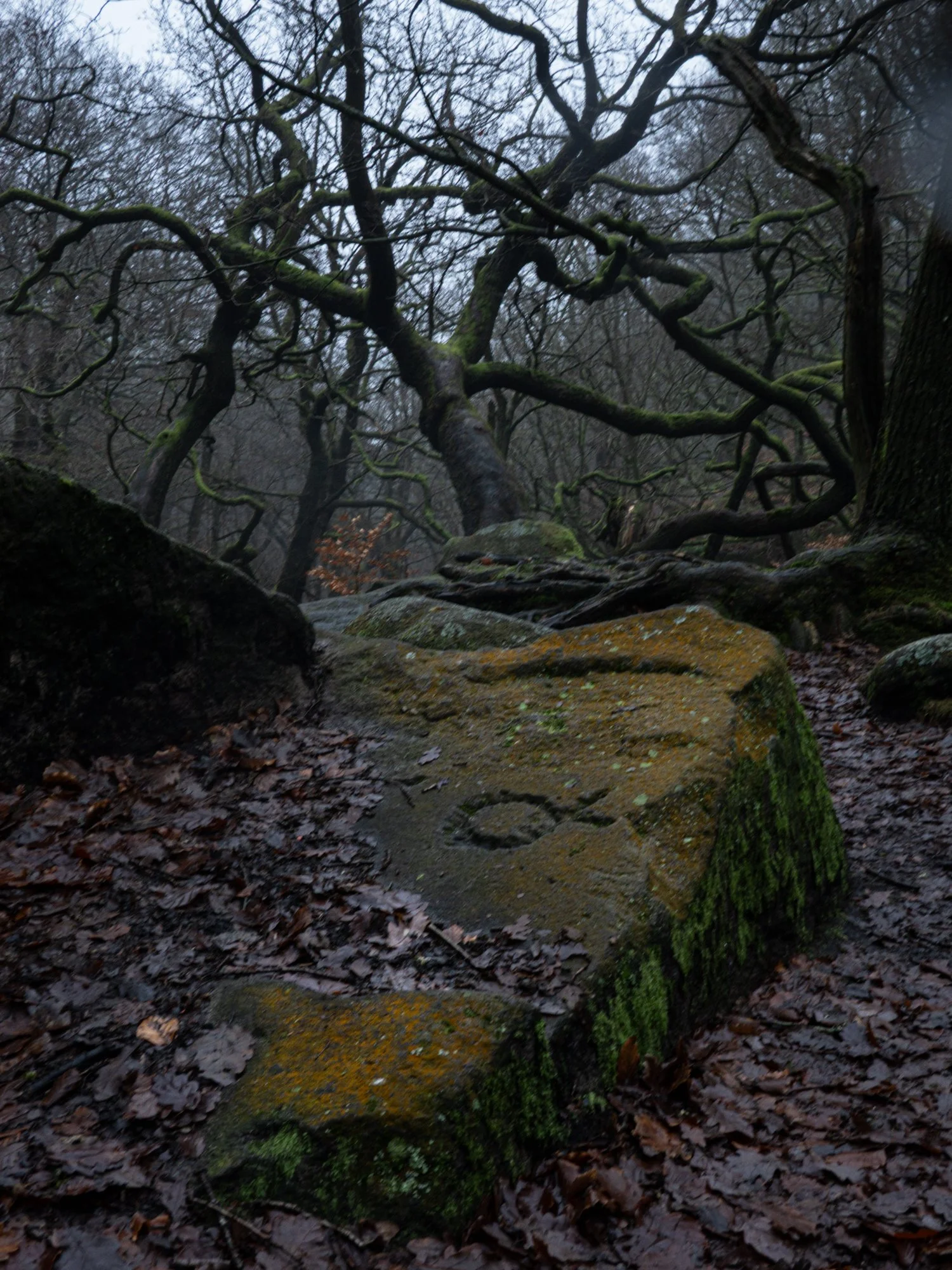 padley gorge and plugholes (5).jpg