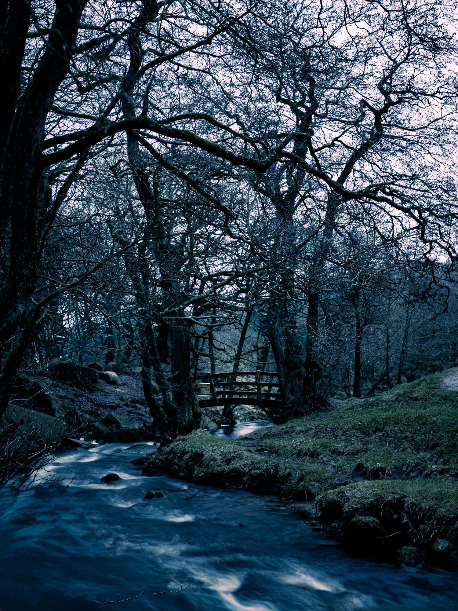 mads edits 2025 (2).jpg