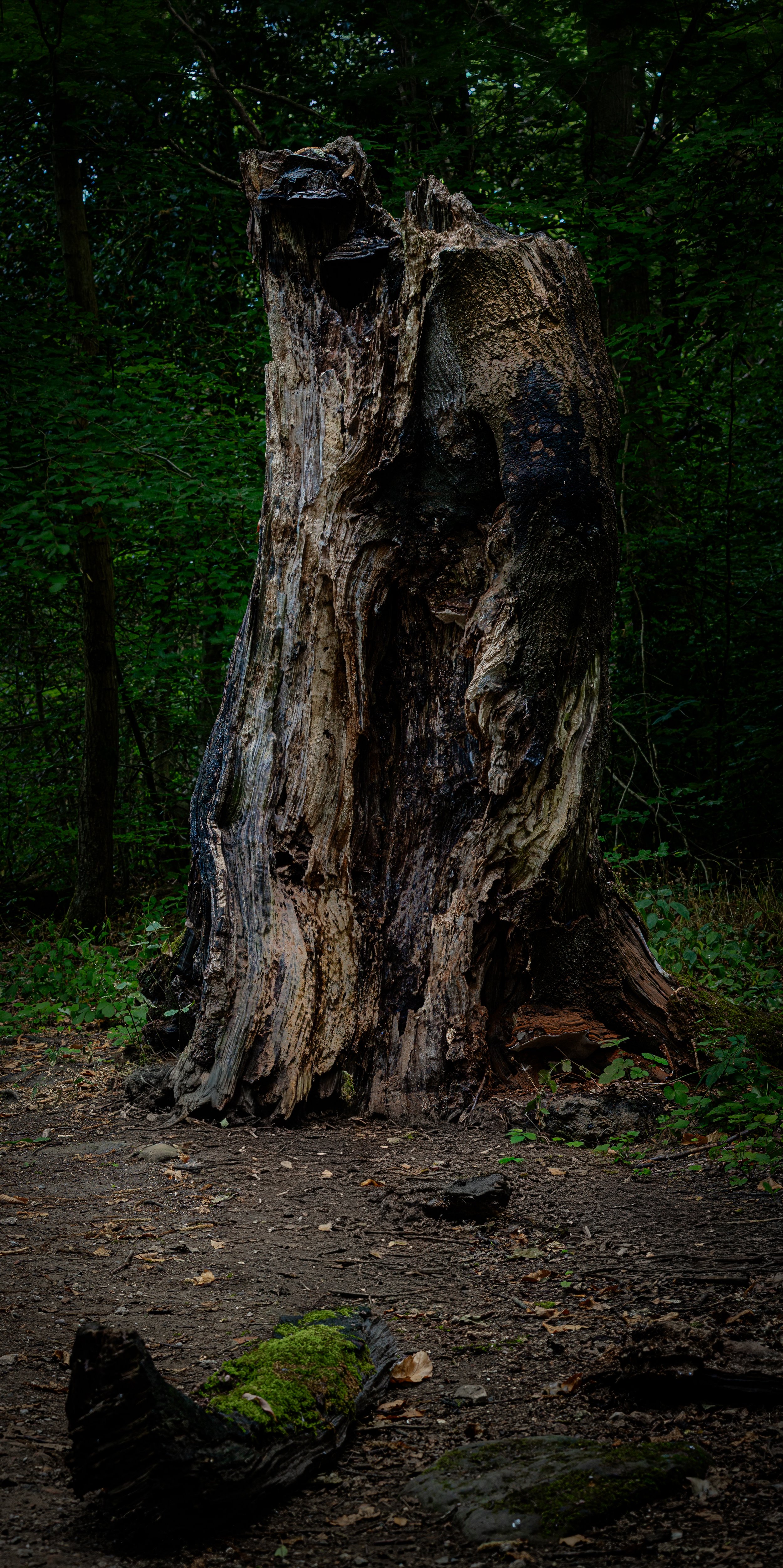 HE3A0867-Edit-3.jpg