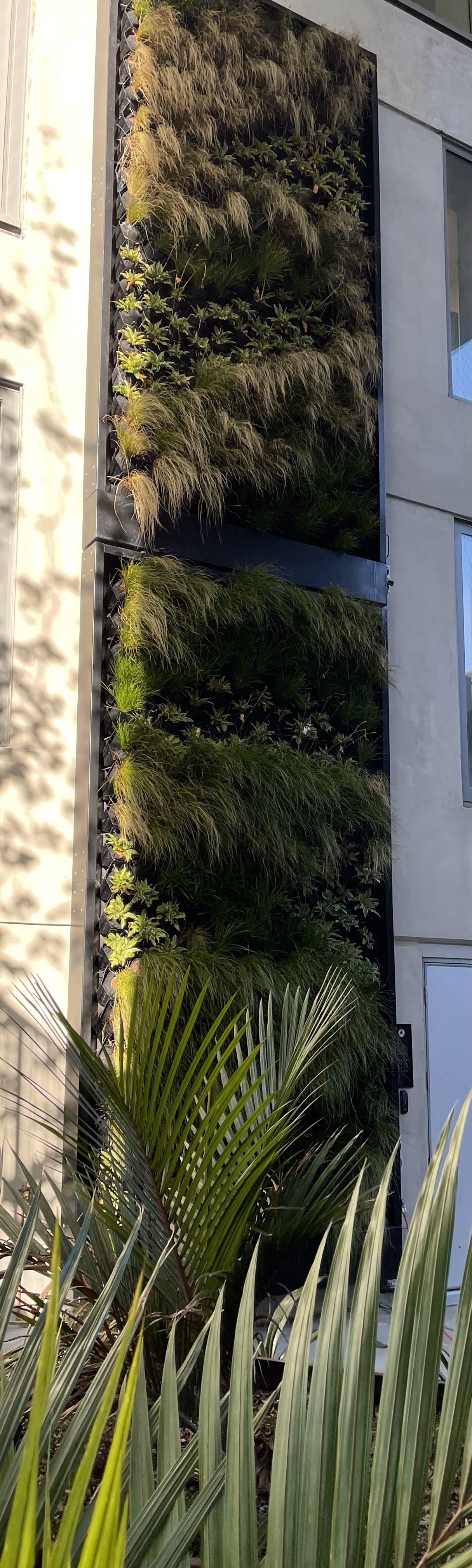 Ritenga Greenwall 40 pot Kit