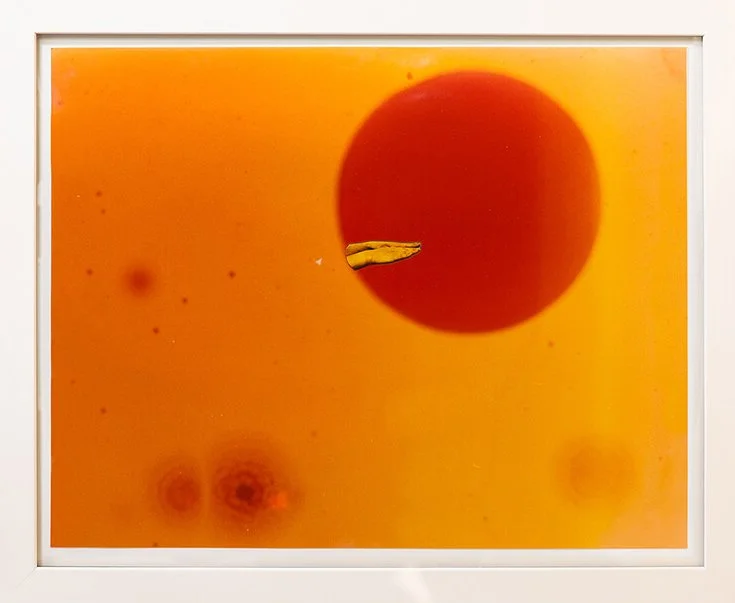 Surfacing, C-Type print, 20x24", 2020