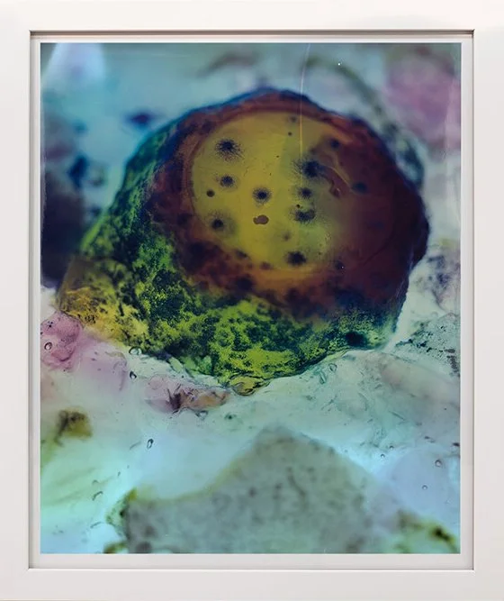 Green Bitch, C-Type print, 20x24", 2020