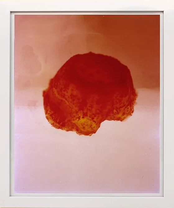 Belly Ache, C-Type print, 20x24", 2020