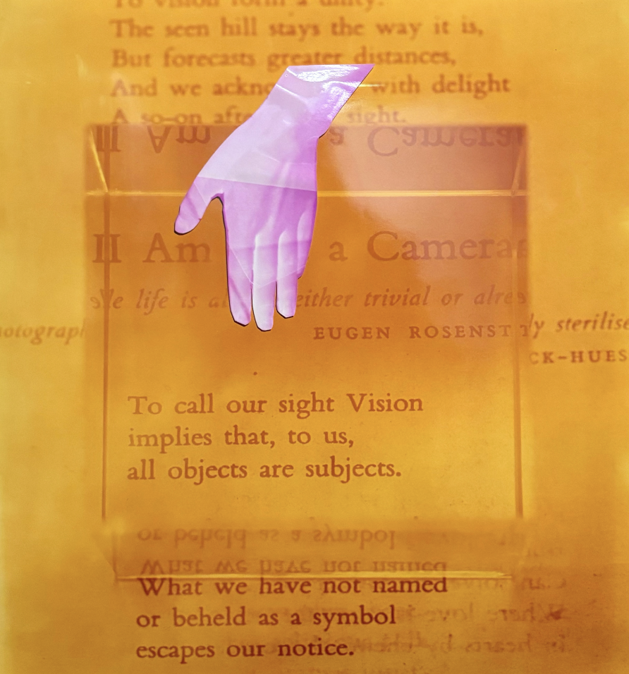 Interrupted Poem, C-Type print + Screenprint, 20x24", 2024