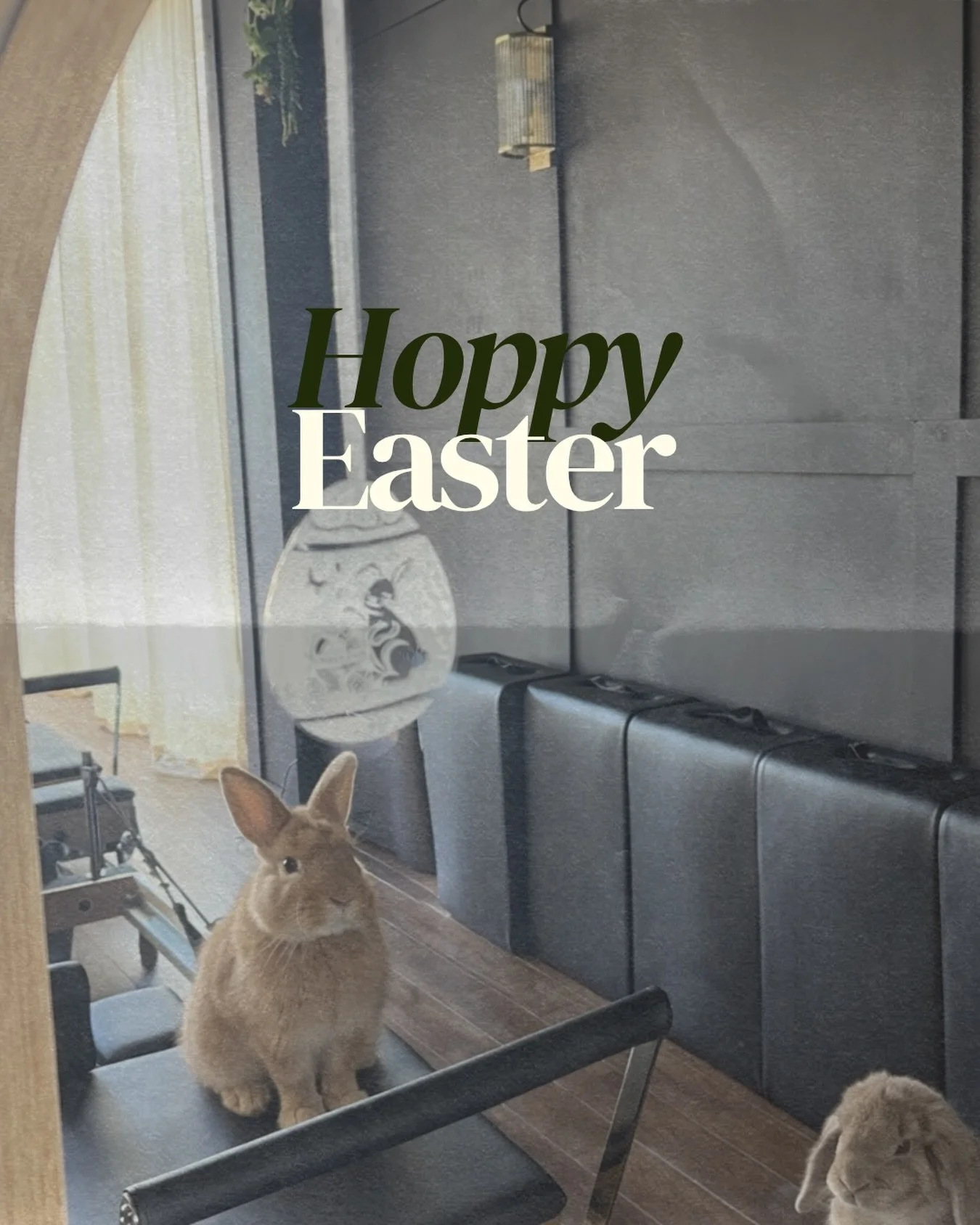 Some bunny loves Pilates&hellip; especially when the long weekend includes reformer, friends and maybe a mini egg or two. 🐰🤎 

#StudioCoSevenoaks #springintopilates #ReformerPilates #Sevenoaks #easterweekend