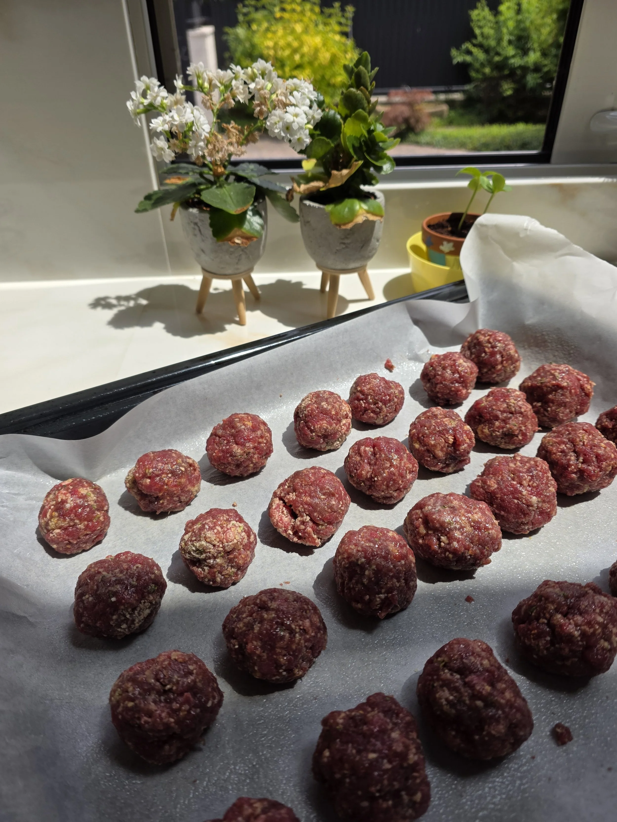 Boulettes de bœuf 5%MG