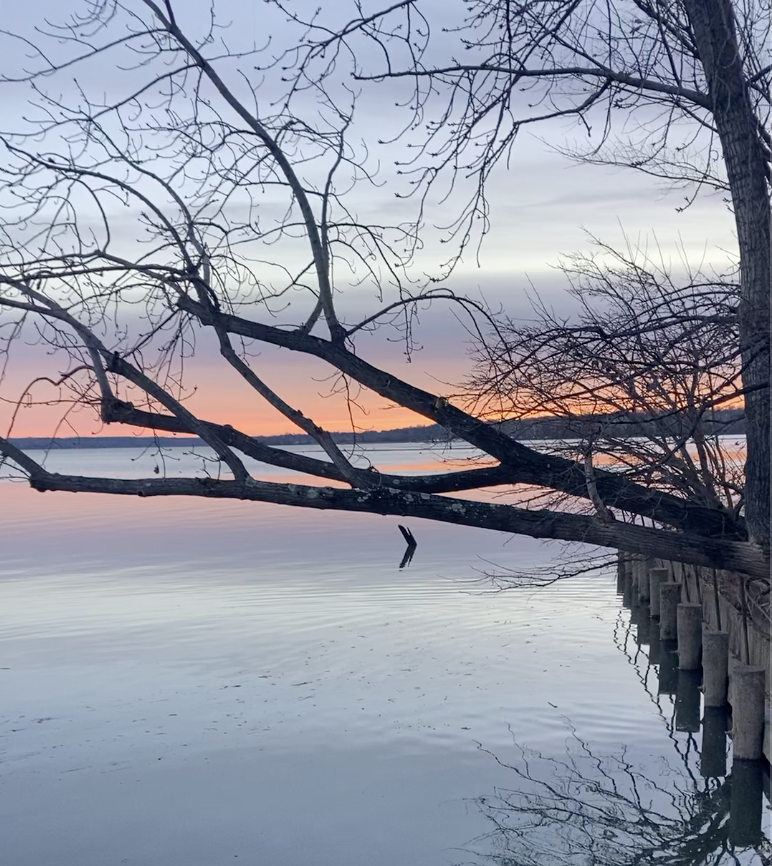 Young Adult Cancer and Becoming a Death Doula