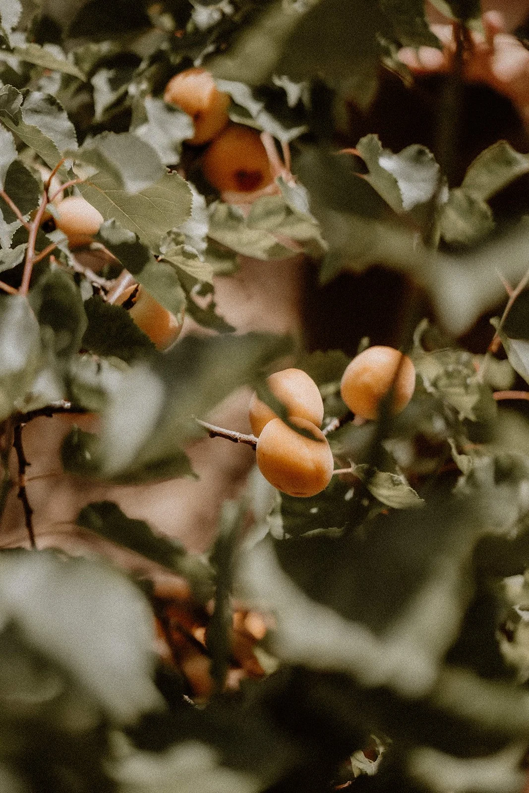 Aura Retreat -264_websize.jpg