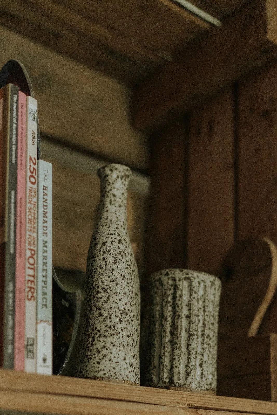 The Wired Salmon -9_websize.jpg