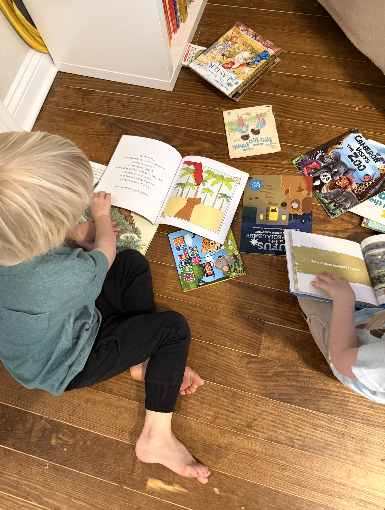 Satisfied customers with Brown Dog Goes to the Beach Book
