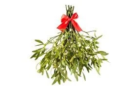 Mistletoe Madness Fundraiser @ C. St NW 