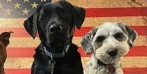 Grand Chapter Fundraiser- "Dog Days of Summer"