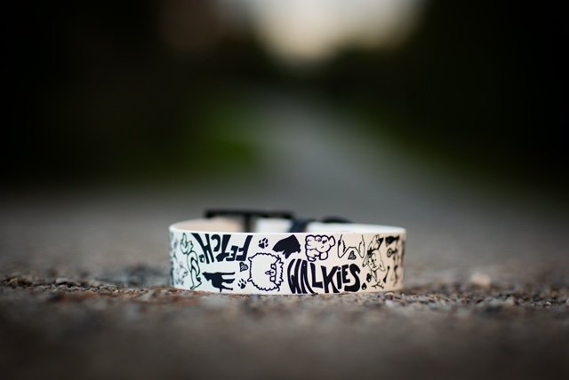 Doodle Collars 1.jpeg