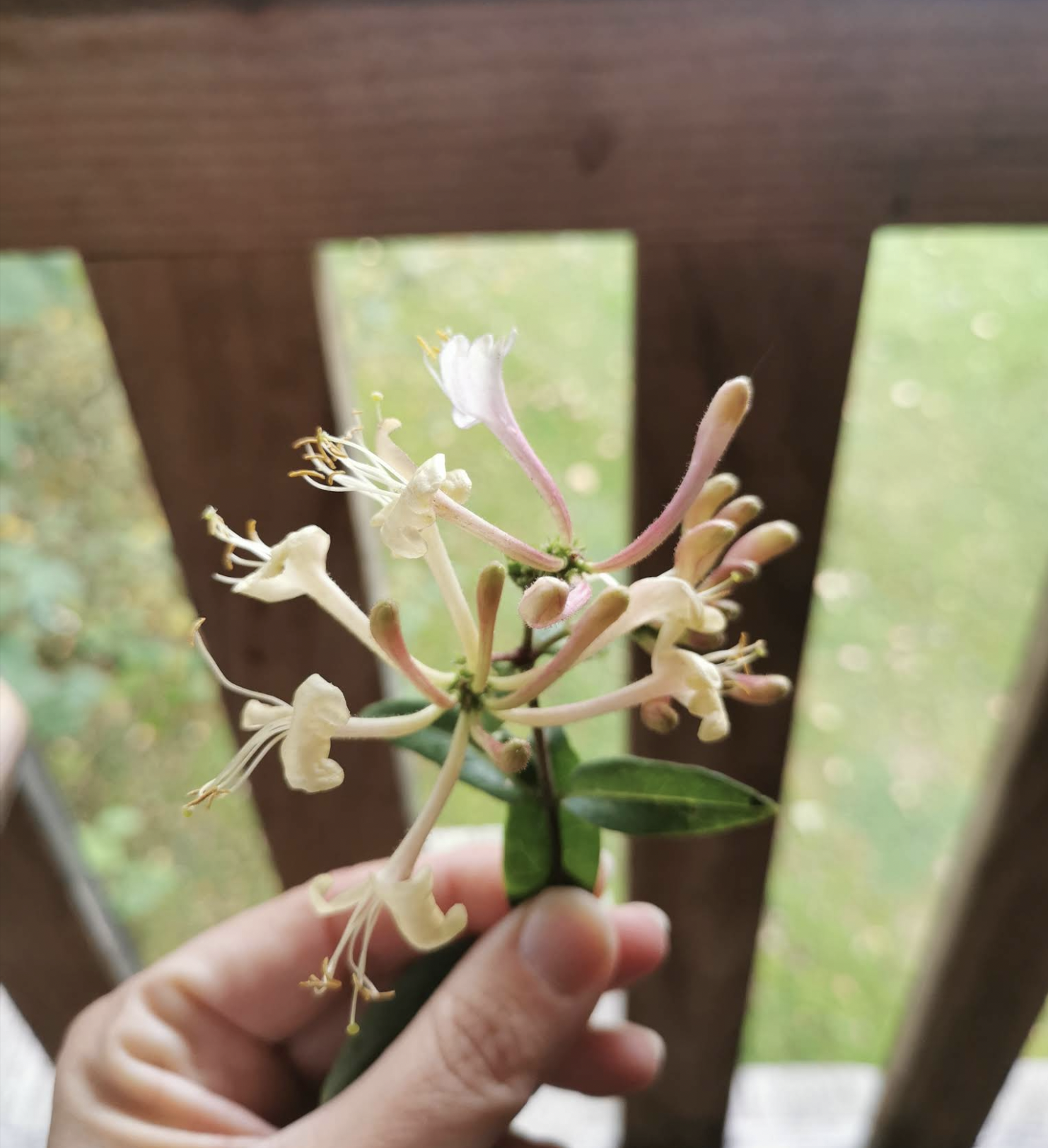 Capture d’écran 2025-03-31 à 13.55.07.png