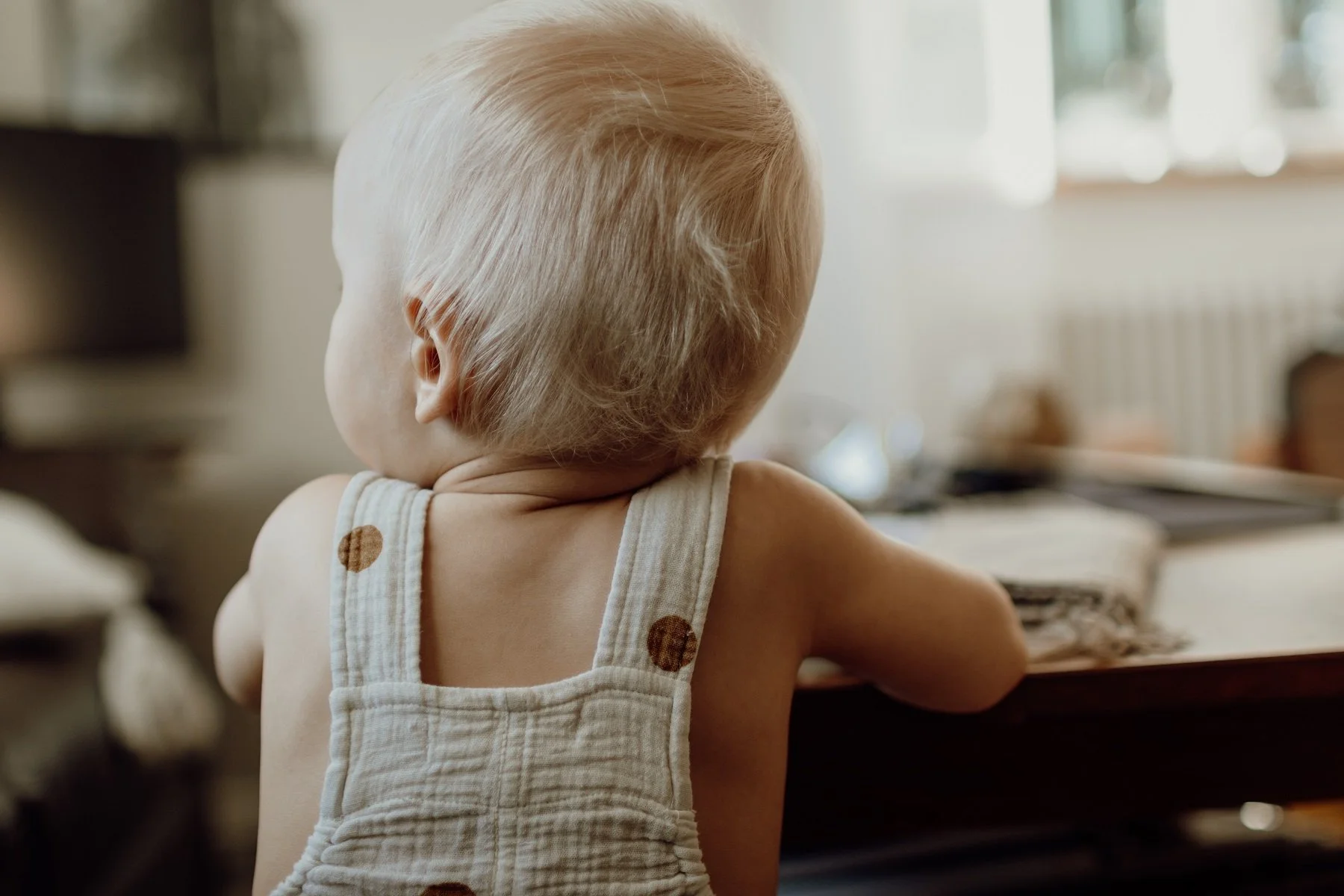 Liten pojke som nyss lärt sig stå, står mot ett bord. bilden är tagen bakifrån, han har ljust hår, bar överkropp och ljusa brunprickiga hängselbyxor